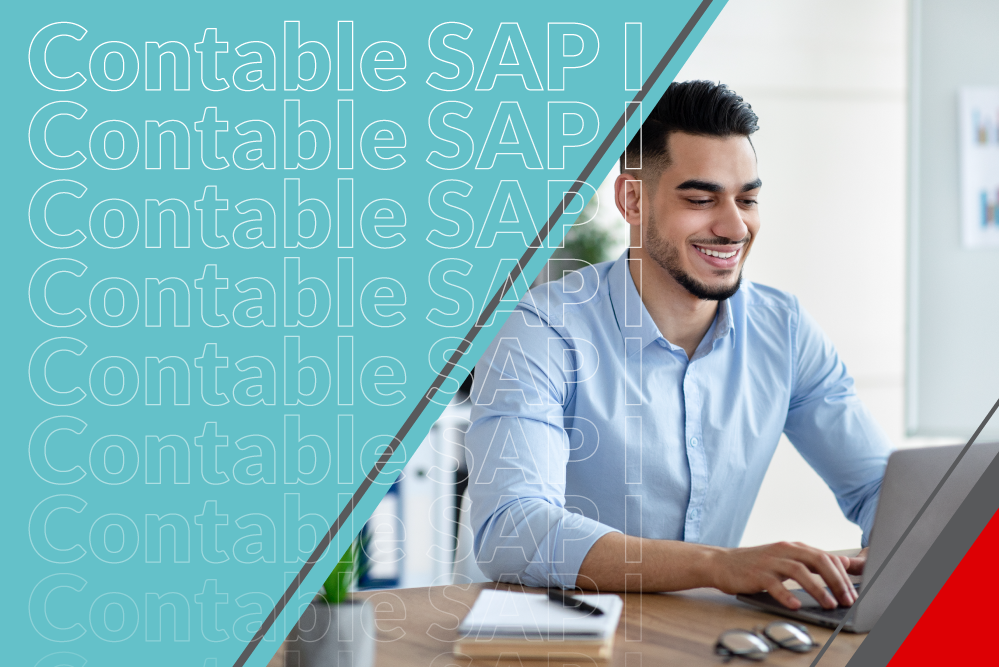 Curso Libre SAP I