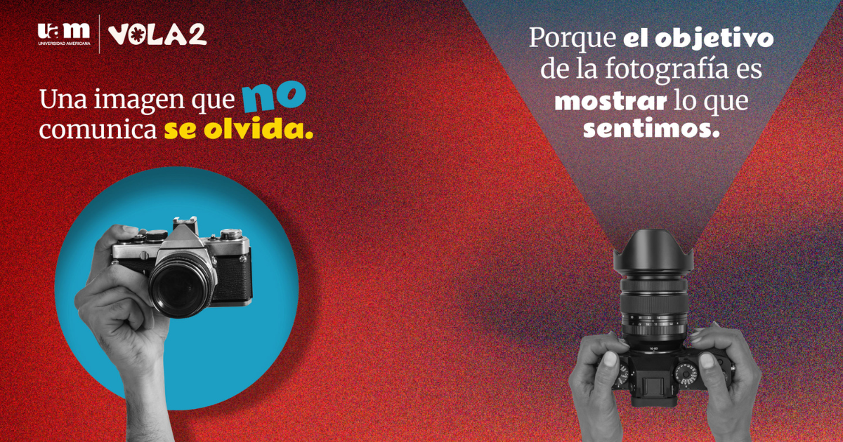 Cuando la imagen respira: “El poder de sentir una fotografía”