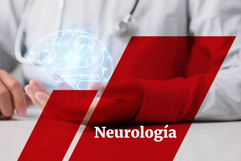 Bachilleratos y Licenciaturas